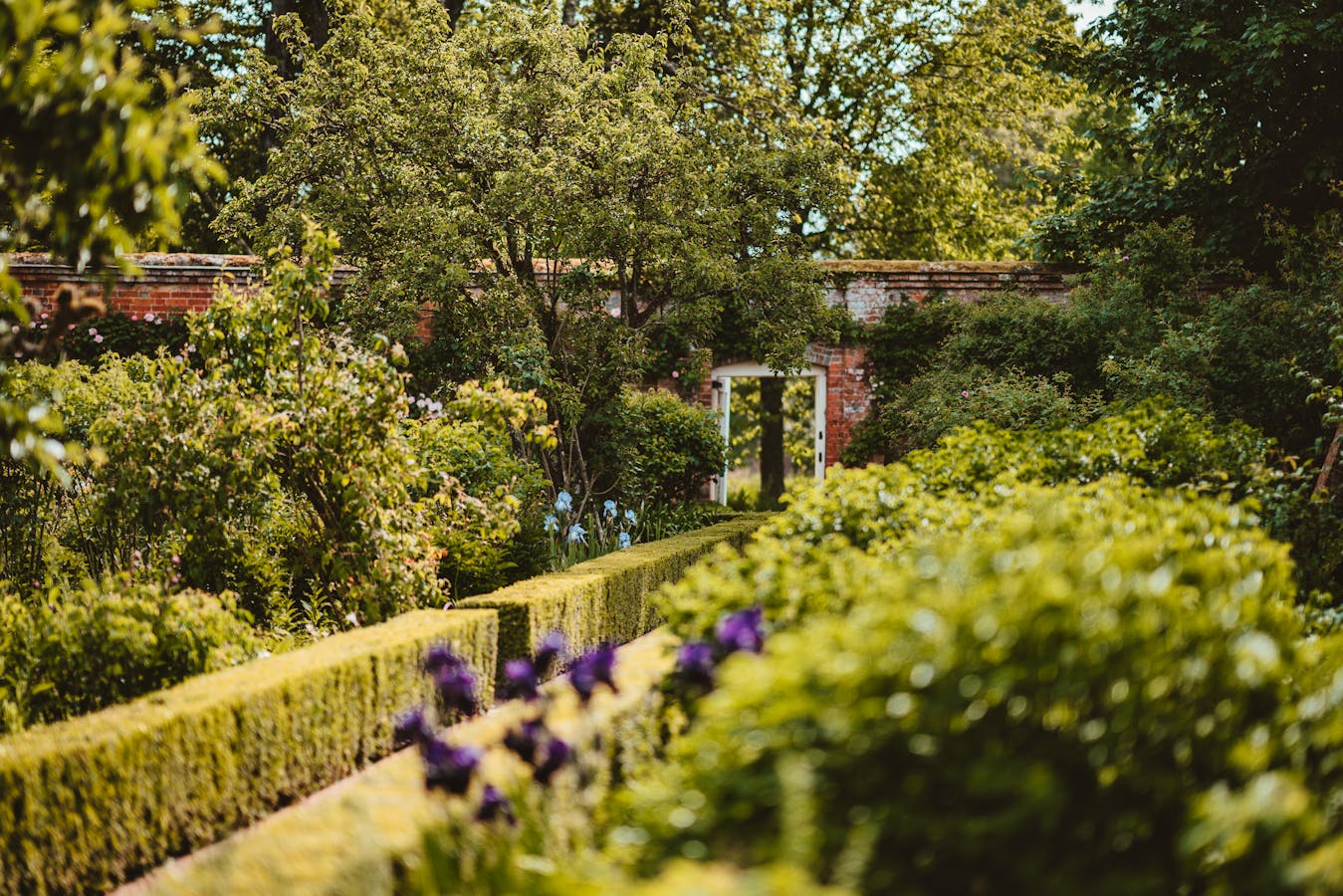 Summer Garden-Inspired Fragrances