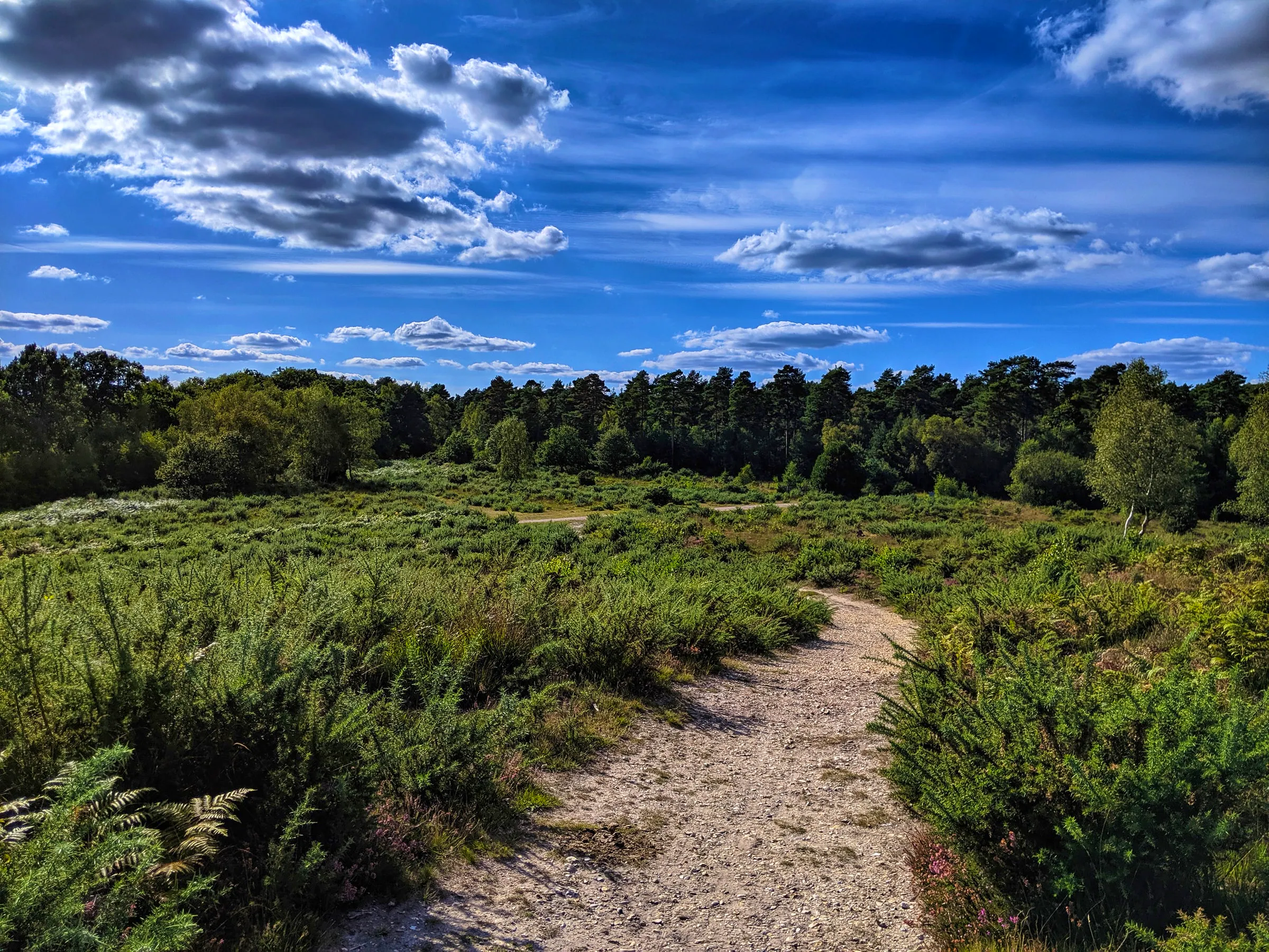 The Best of Hampshire | The Good Web Guide