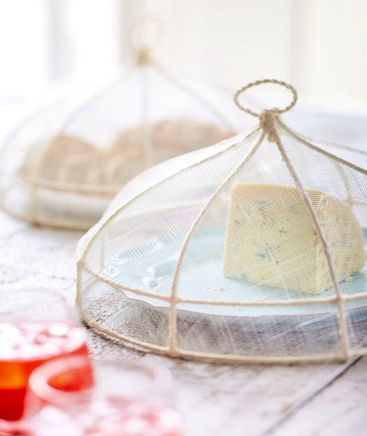 Sophie Conran Food Cover, £40