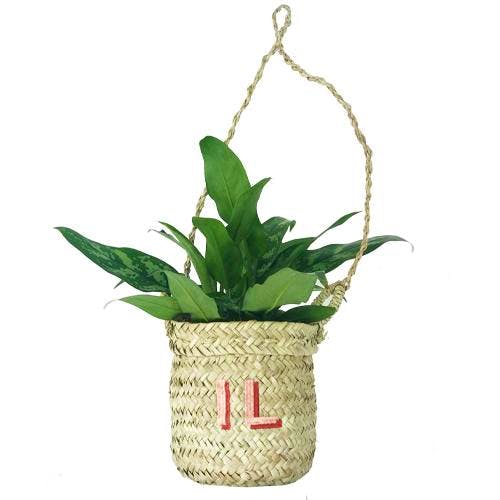 Initially London Hanging Plant Basket, £30
