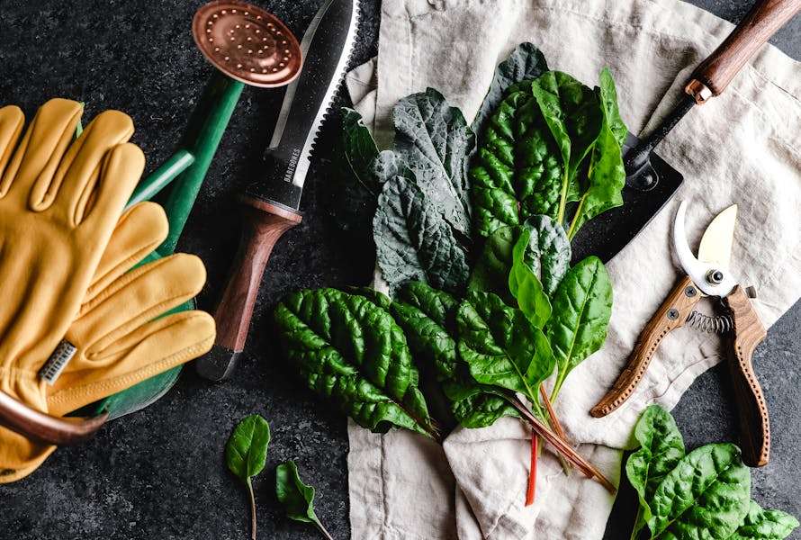24 Great Buys For Gardeners