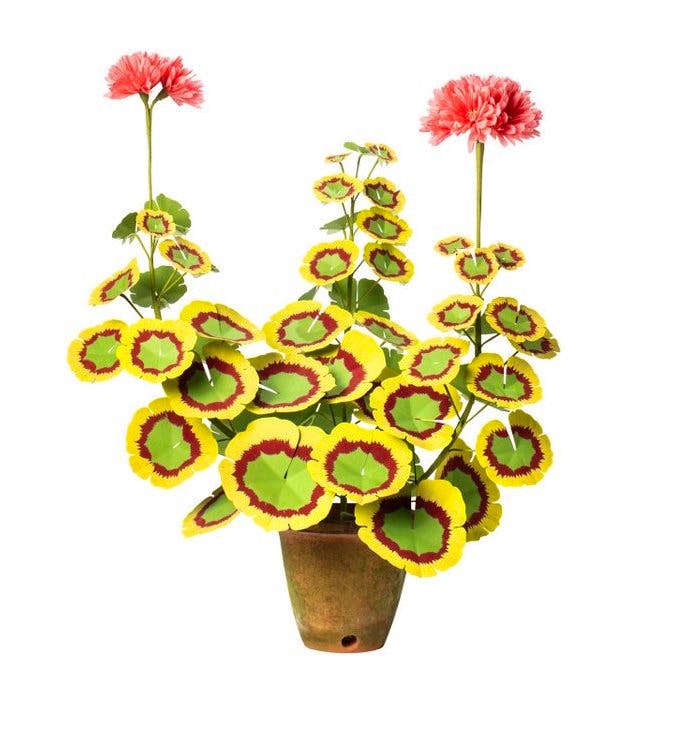 Moda Operandi The Green Vase, Geranium Plant, £342