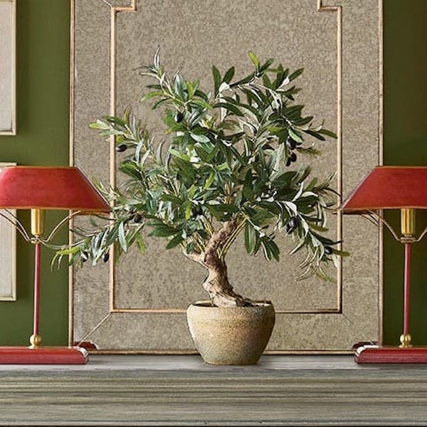 OKA Faux Miniature Olive Tree, £95
