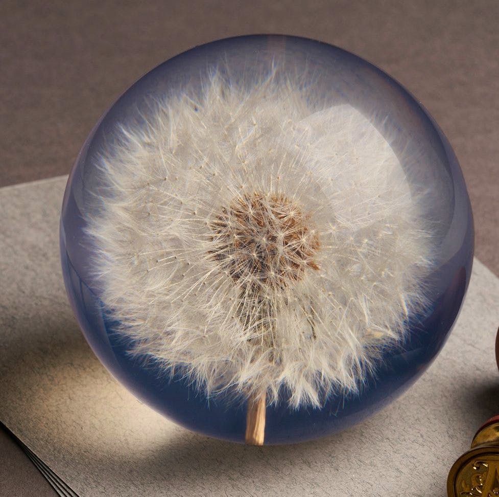 Twenty Twenty One Dandelion Paperweight, £31.50