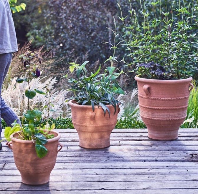 Rowen & Wren Thrapsano Pots, from £38