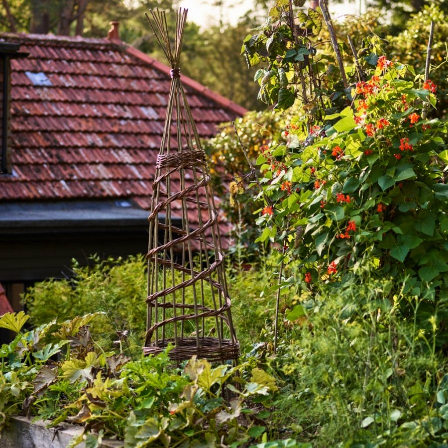 Rowen & Wren Handwoven Willow Obelisk, £72