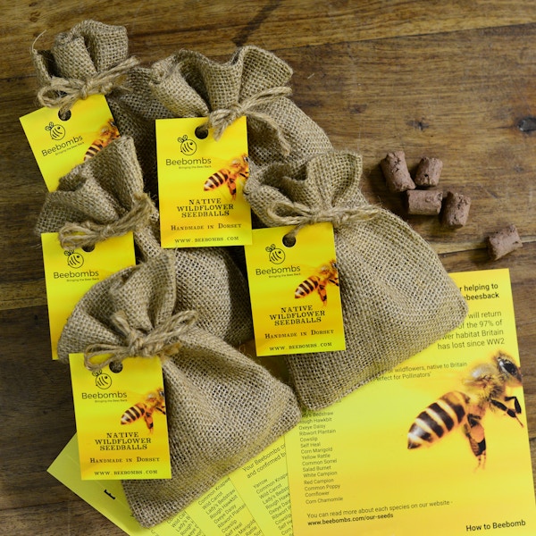Beebombs 5 Packs of Native Wildflower Beebombs, £29.99