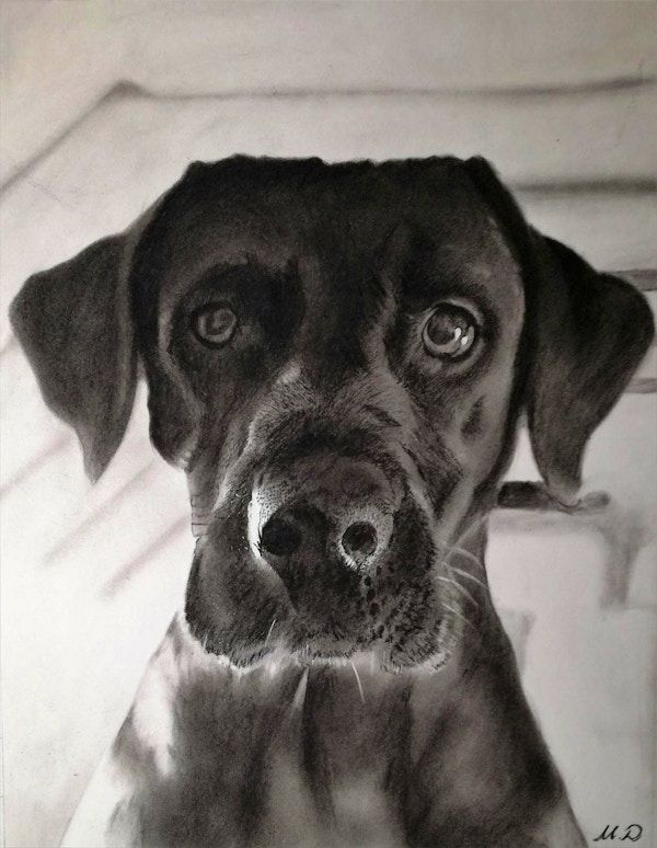 Paint Your Life Charcoal Drawing Pet