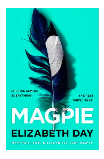 Magpie, £14.99 Elizabeth Day