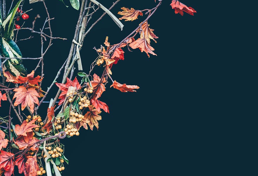 Florists for Festive Inspiration