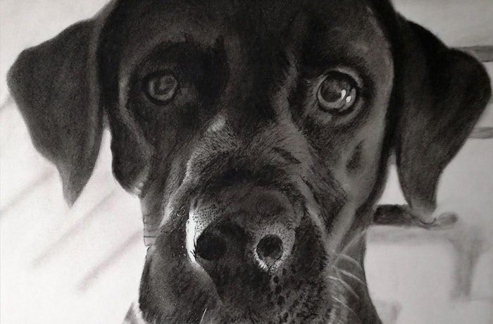 Paint Your Life Charcoal Drawing Pet
