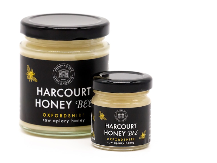 Harcourt Honey