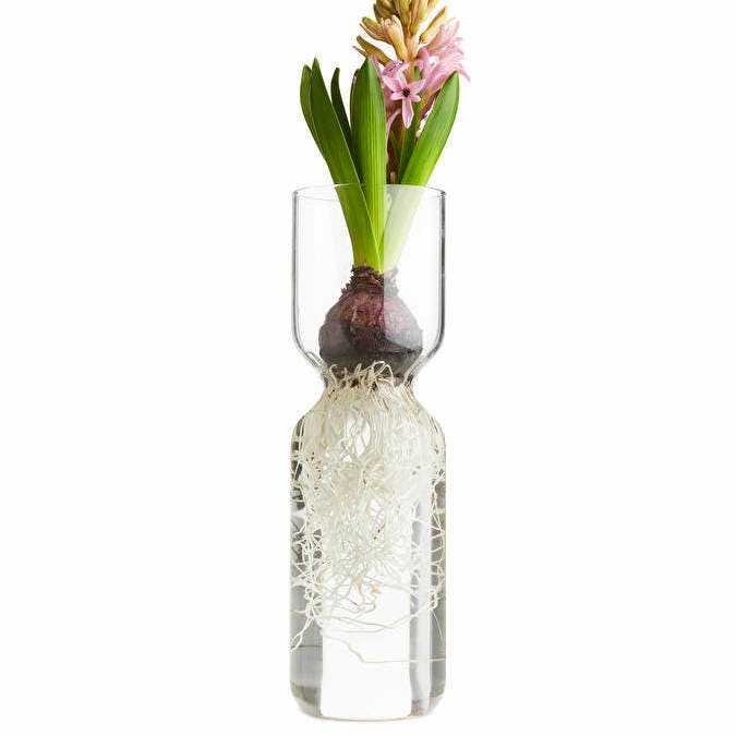 Arket Bulb Vase, £17
