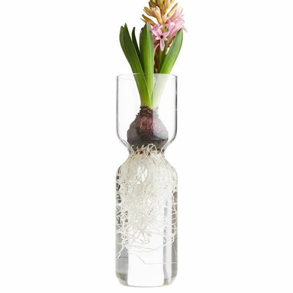 Arket Bulb Vase, £17