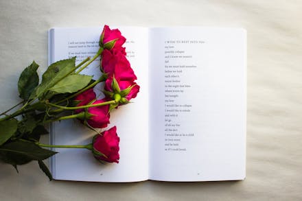 8 Of The Best Collections Of Poetry For Valentine’s Day