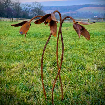 Rustic Rusty Metal Snowdrops