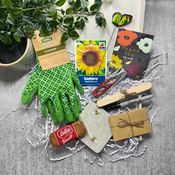 Garden Letterbox Hamper