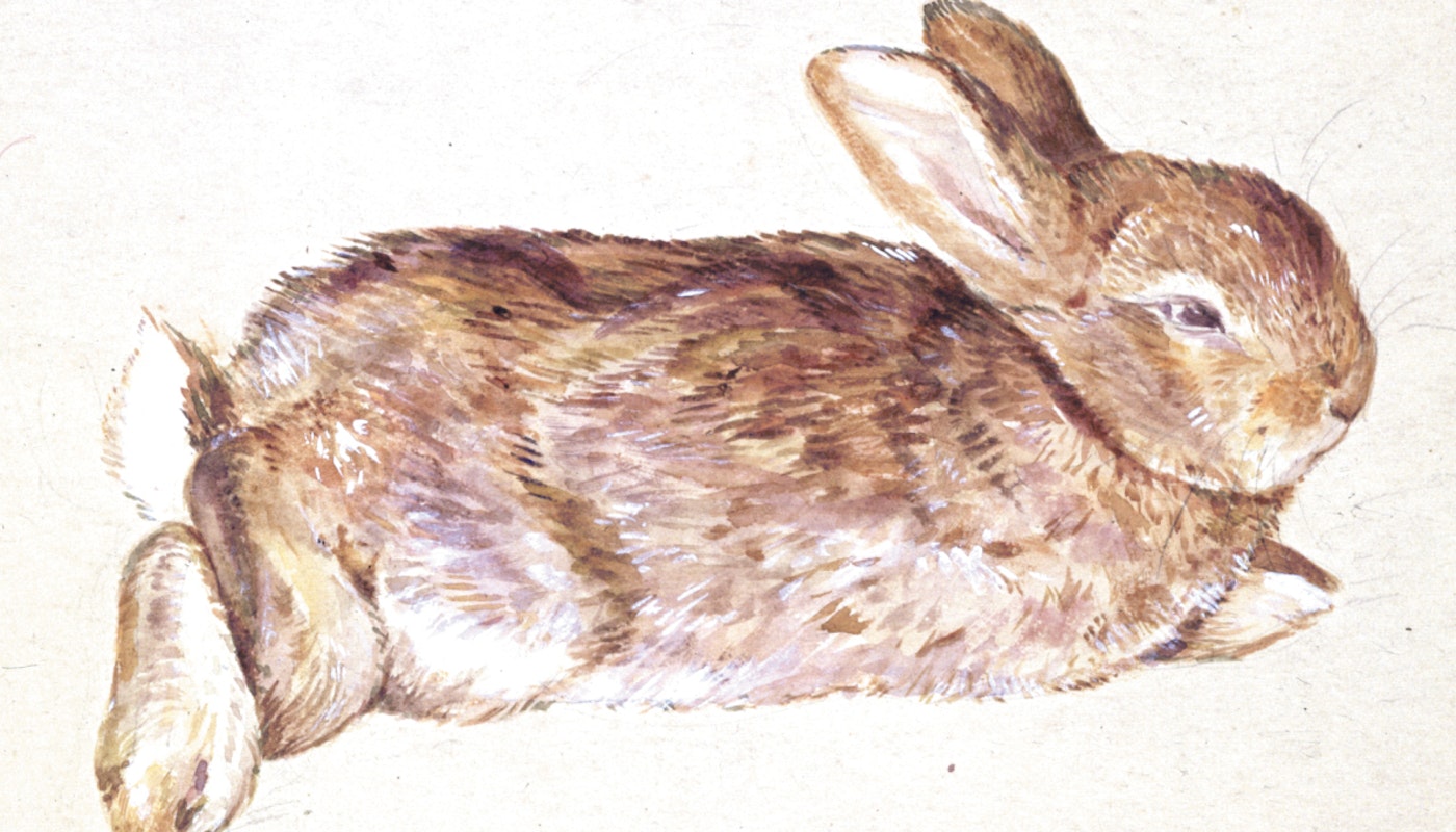 Drawing Of A Rabbit (Peter Piper) By Beatrix Potter. Ca 1892. (c) Victoria And Albert Museum, London, Courtesy Frederick Warne &