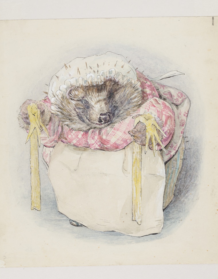 Mrs. Tiggy-Winkle Artwork, November 1904 - July 1905. Watercolour And Ink On Paper. © National Trust Images