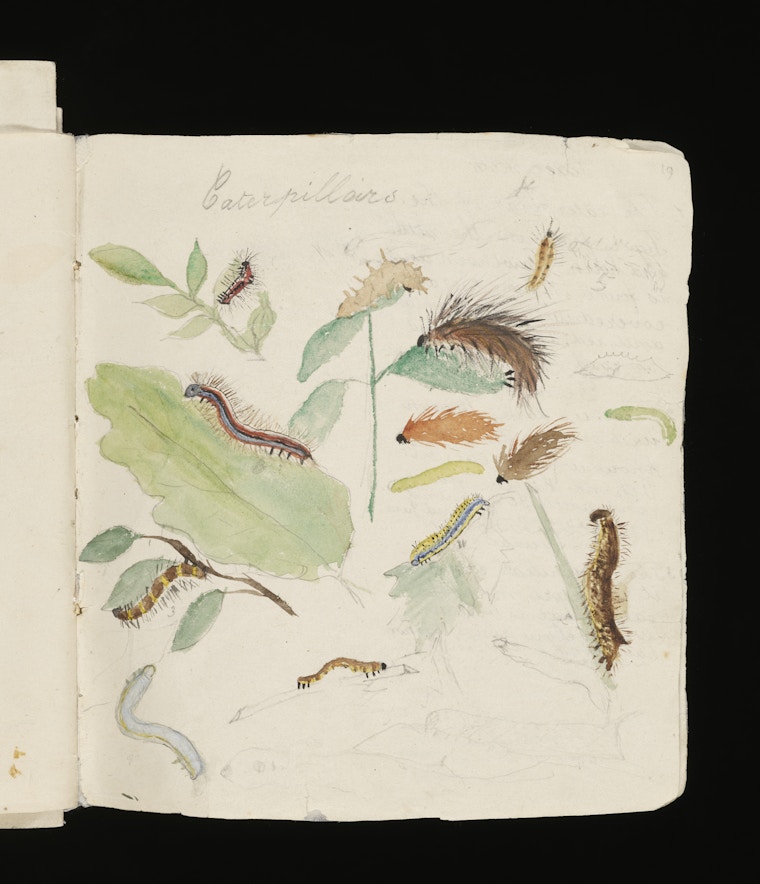 Page From A Sketchbook, C. 1875. Watercolour Over Pencil On Paper. Linder Bequest (c) Victoria And Albert  Museum, London