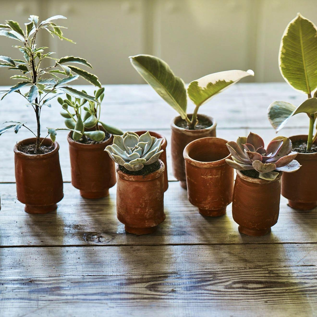 Rowen & Wren Lali Mini Terracotta Pot, £8