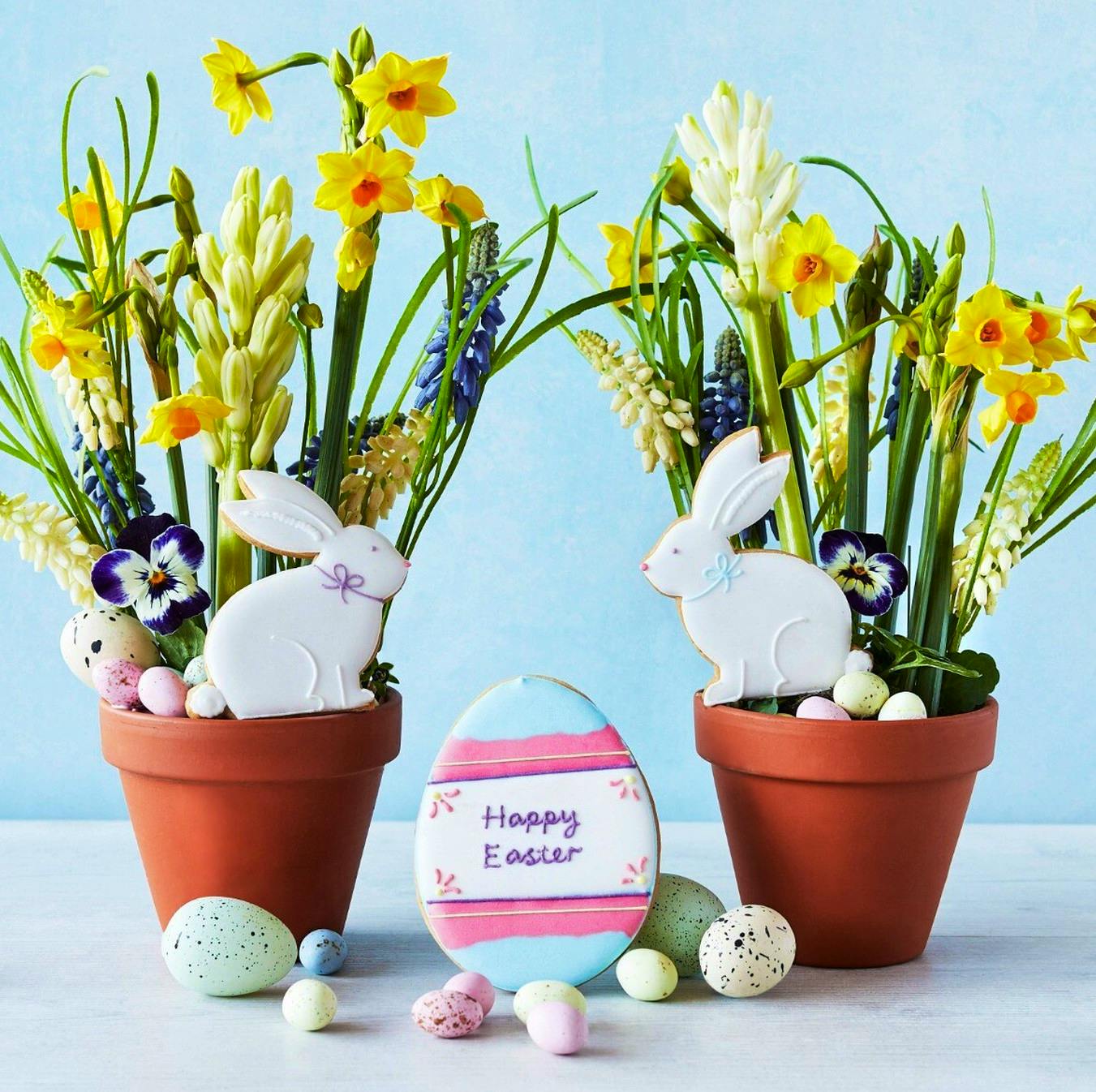 Letterbox Biscuits, Easter Bunnies £25