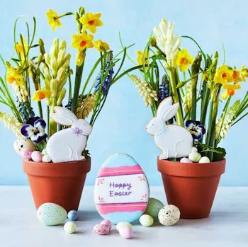 Letterbox Biscuits, Easter Bunnies