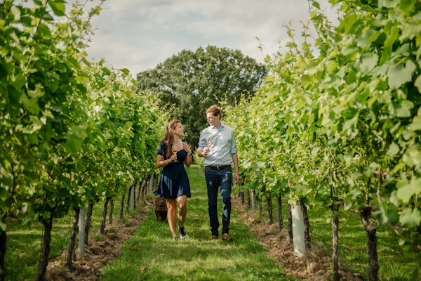 Gusbourne Couple Strolling In Vines