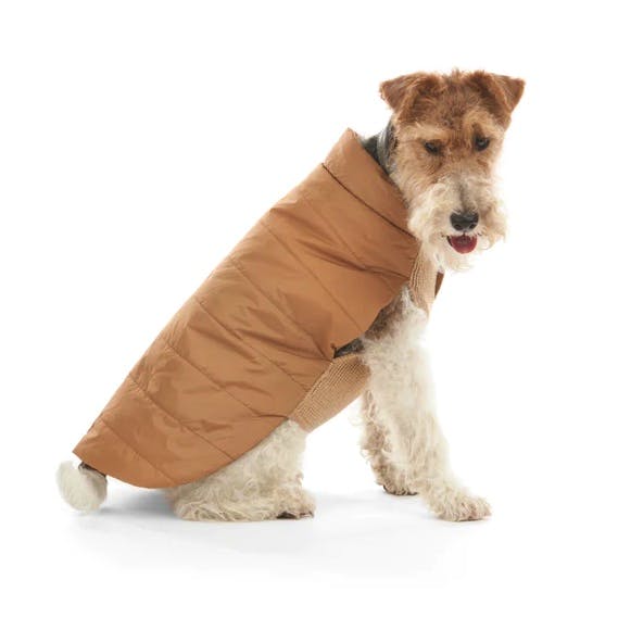 Mungo & Maud Beetle Dog Coat, NOW £74.75