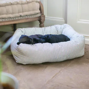Lords & Labradors