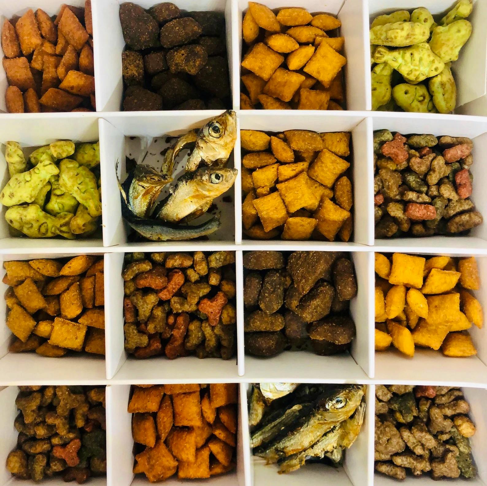 Etsy Cat/Dog Birthday Treat Box, £8