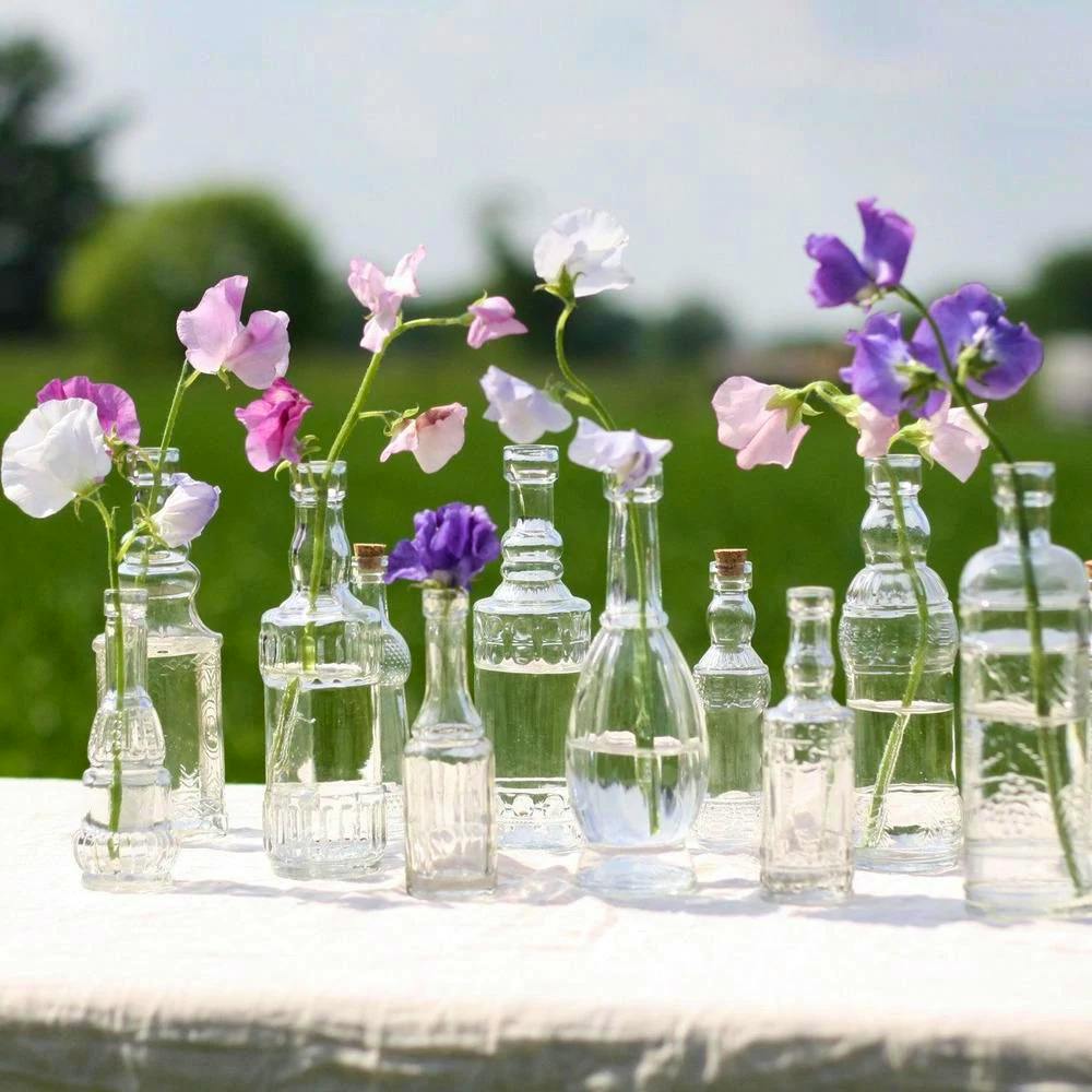 Burrow & Best Glass Bottle Vases, Set of 6, £13
