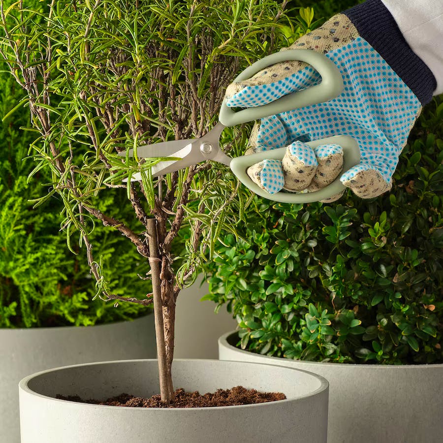 BRYTBÖNA Herb Scissors £6