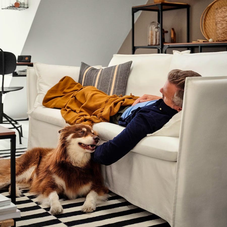 BACKSÄLEN 3-Seater Sofa £599