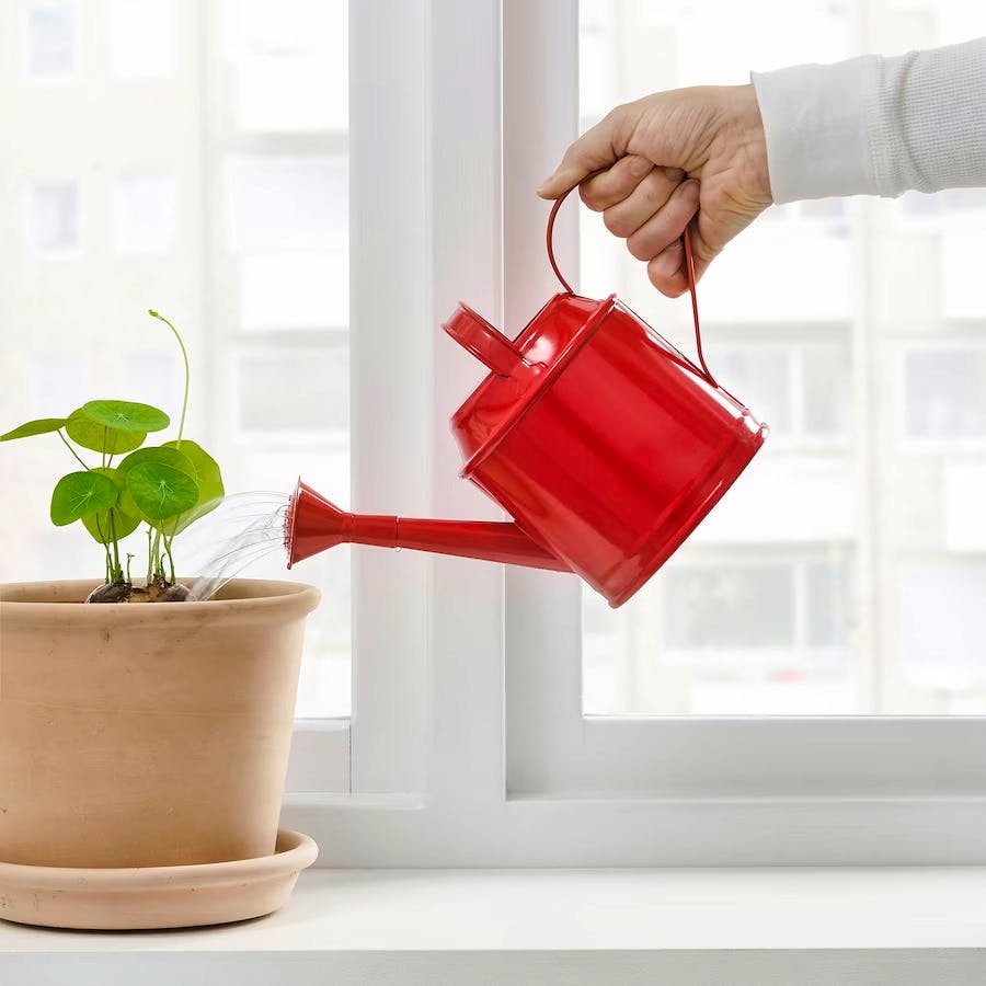 SOCKER Watering Can £6