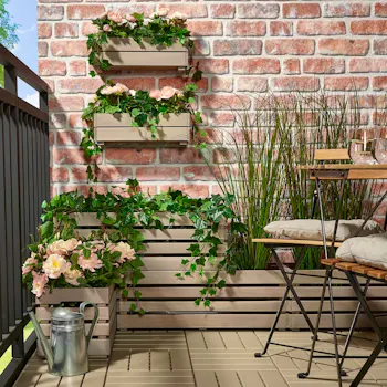 STJÄRNANIS Flower Box