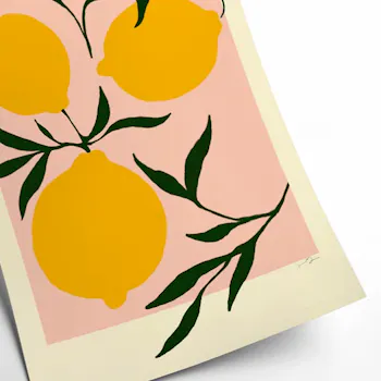 PSTR Studio