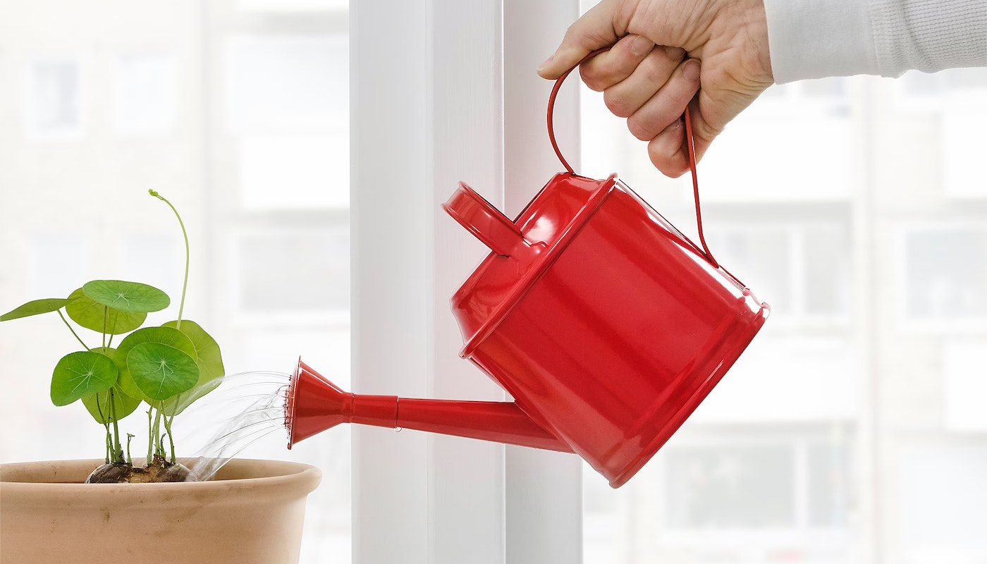 Ikea New Ins Watering Can