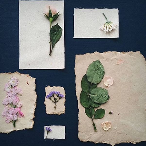 DIY Pressed Flower Print Cards
