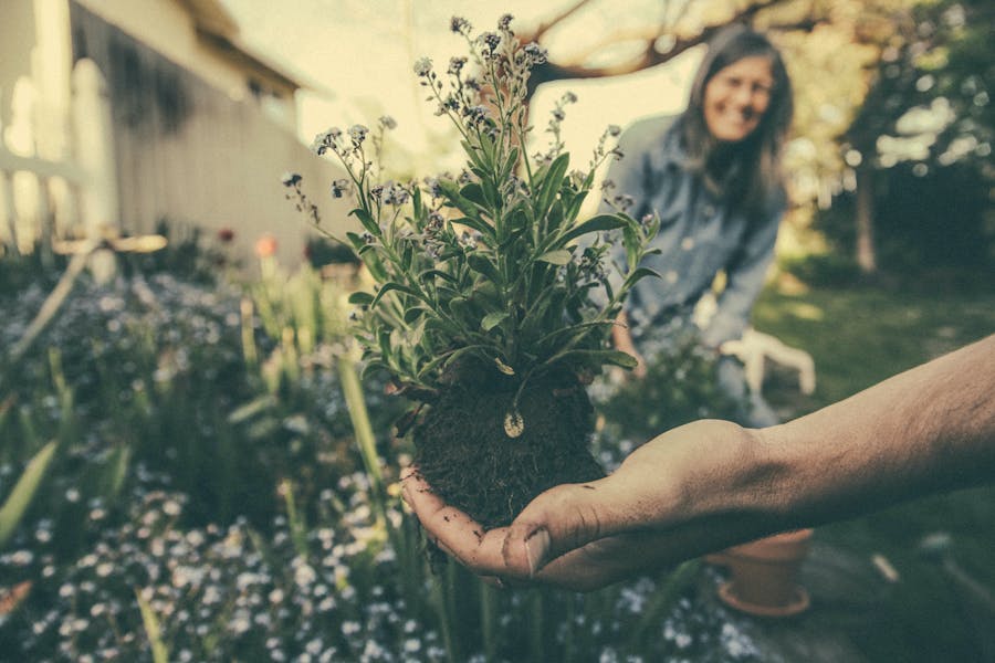 The Most Beautiful Garden Centres