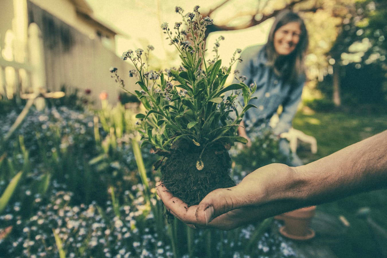 The Most Beautiful Garden Centres