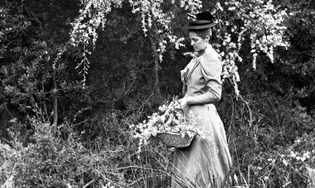 The Best Gardening Books By Women