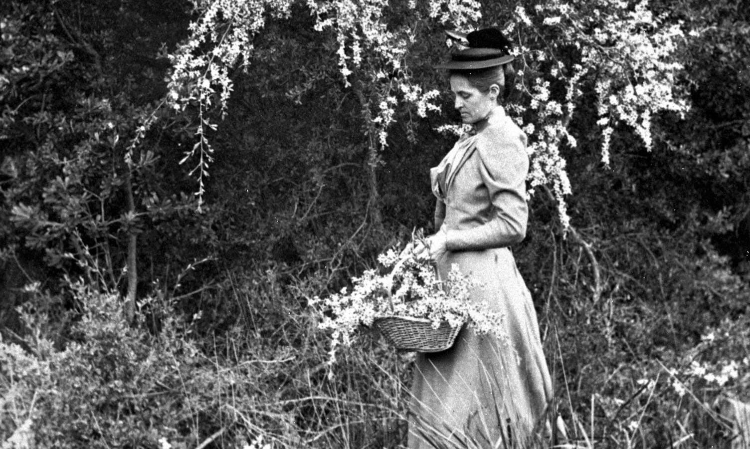 The Best Gardening Books By Women