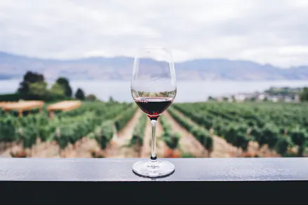 8 Ways To Become An Oenophile On National Wine Day