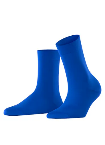 Falke