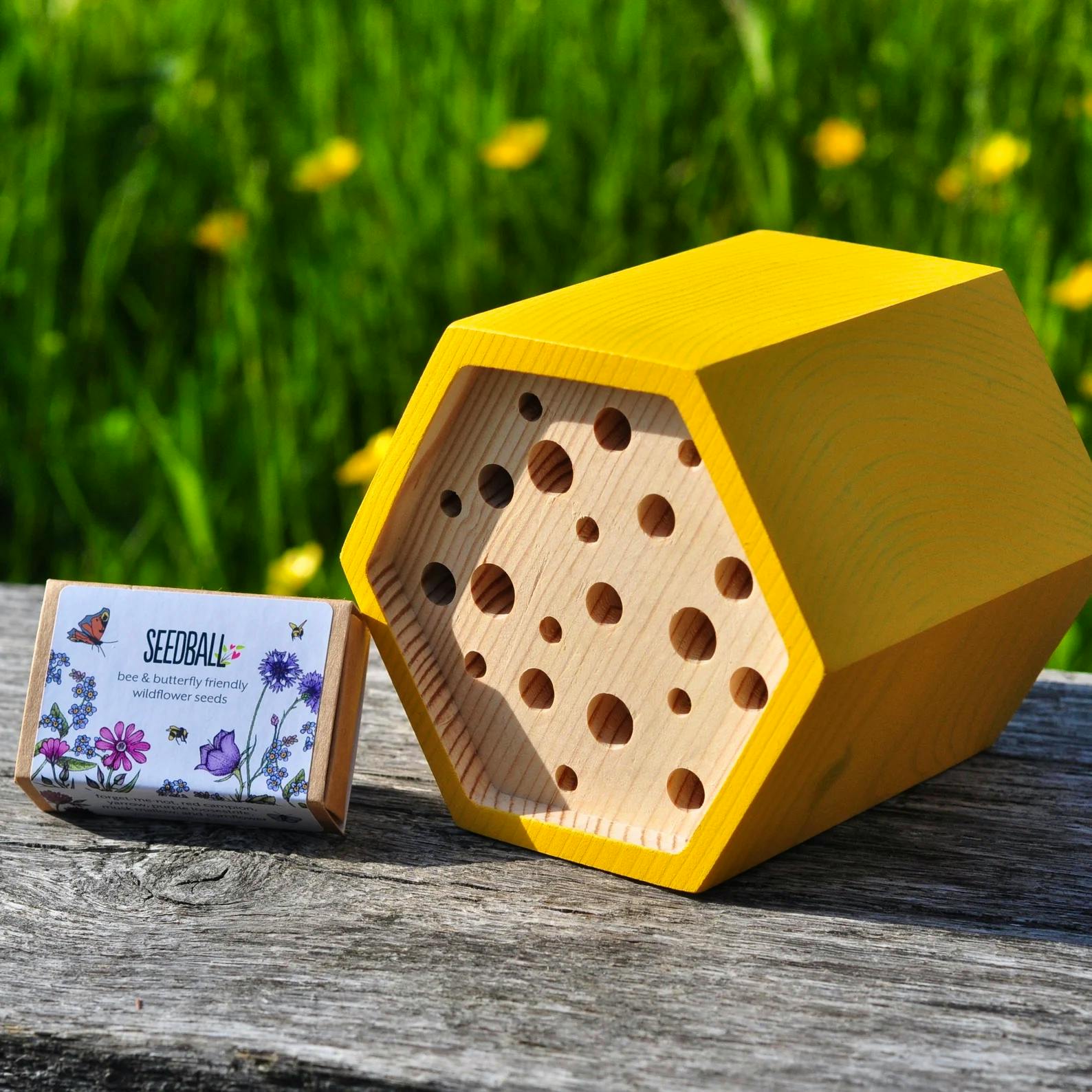Bee House Gift Set £19.95