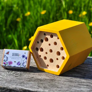 Bee House Gift Set