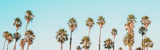 Sunny Delight: What Collagerie’s Editors Are Packing This Summer