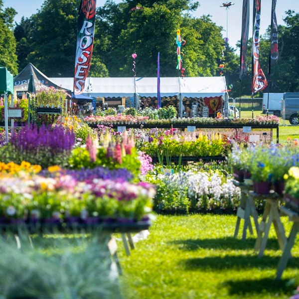 BLENHEIM PALACE FLOWER SHOW