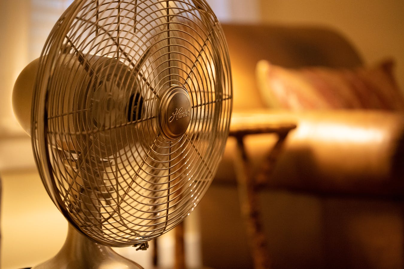 Cool Homes Delaney-van-MvCW2PE9Tbg-unsplash Copy